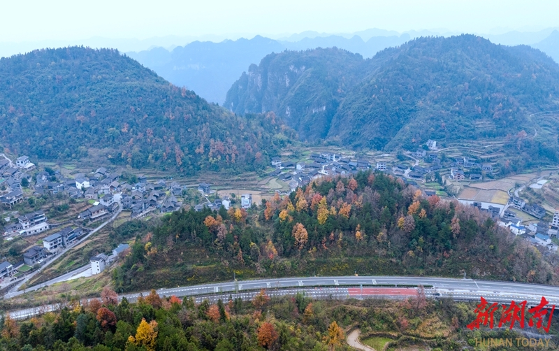 层林尽染 多彩乡村