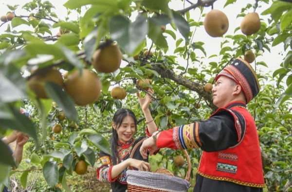 奋进的江华 心归的热土——江华瑶族自治县成立70周年巡礼@湖南日报