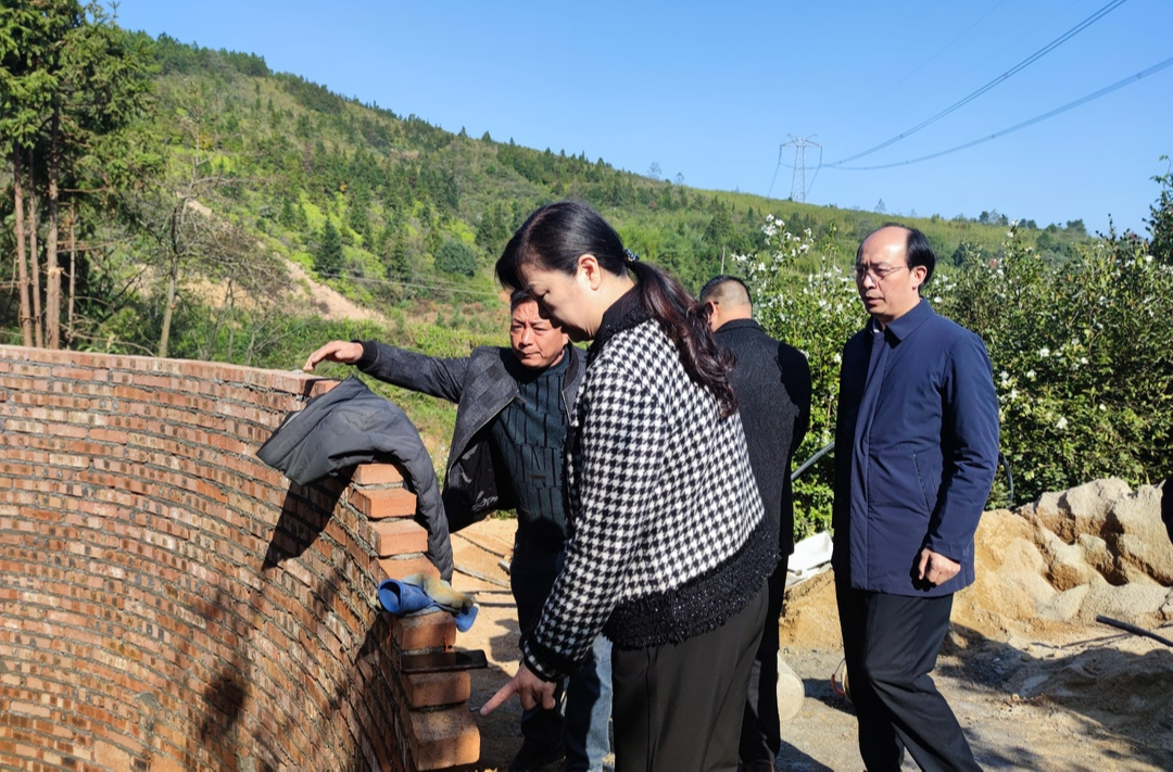 县乡人大看郴州④ |永兴人大让全过程人民民主可触可及：民生实事谁作主？人大代表来票决