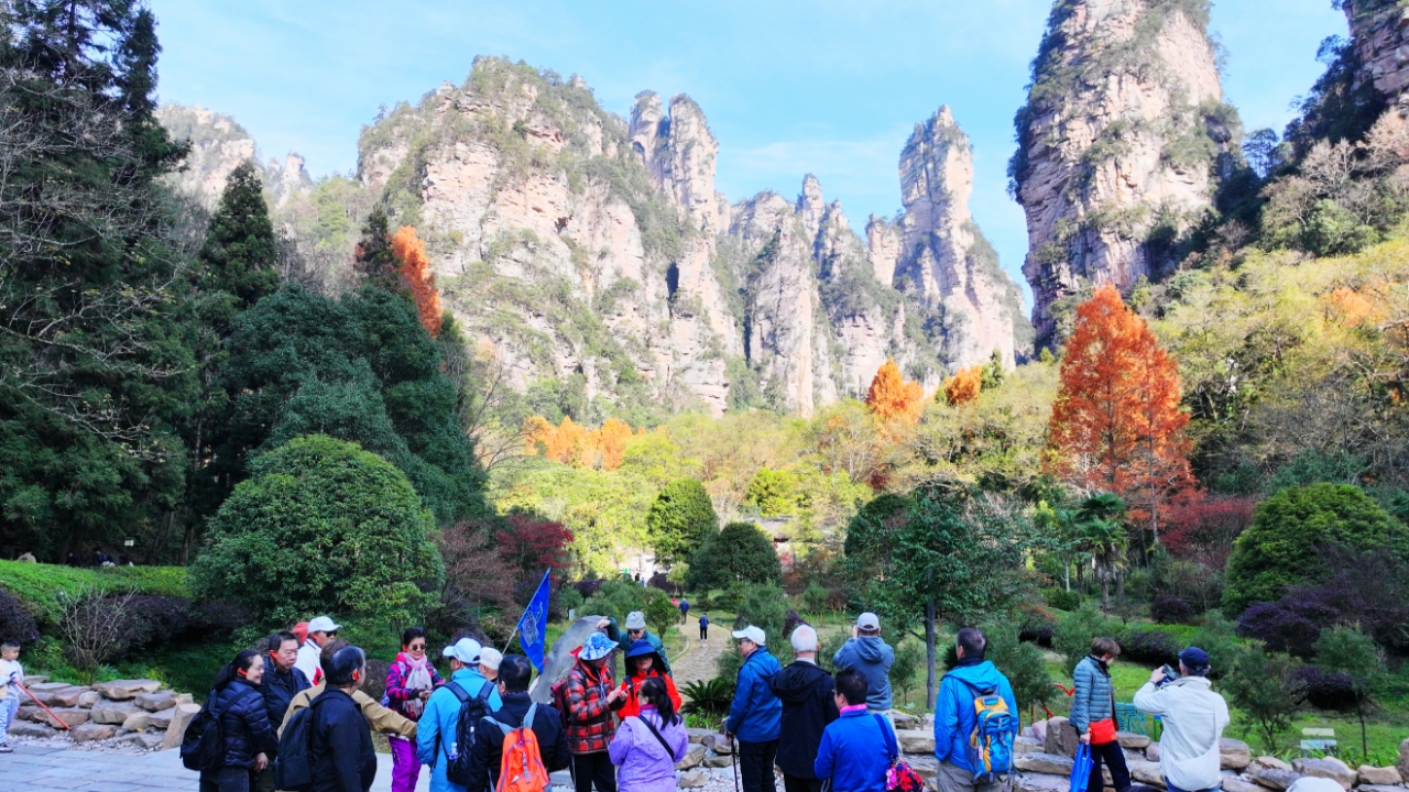 暖阳彩叶映峰林 张家界国家森林公园冬游火热