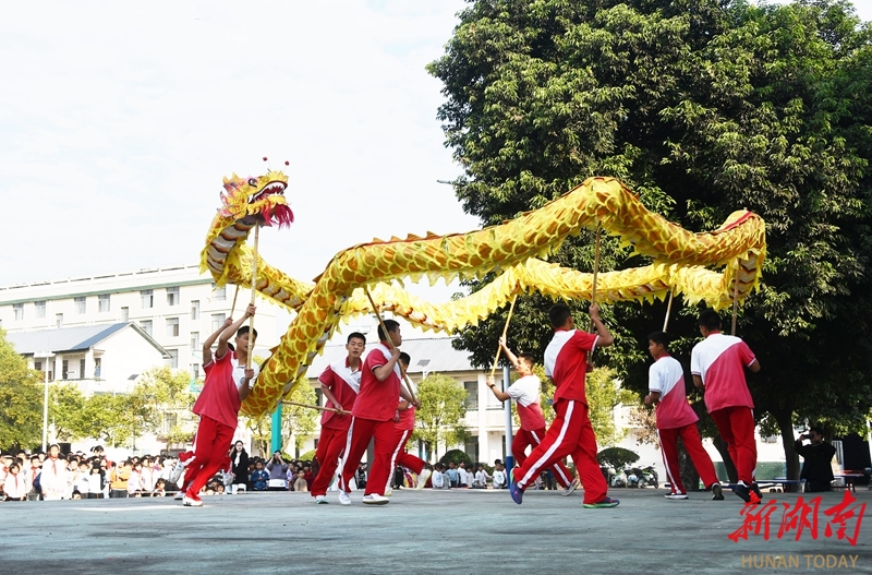 龙腾虎跃少年强