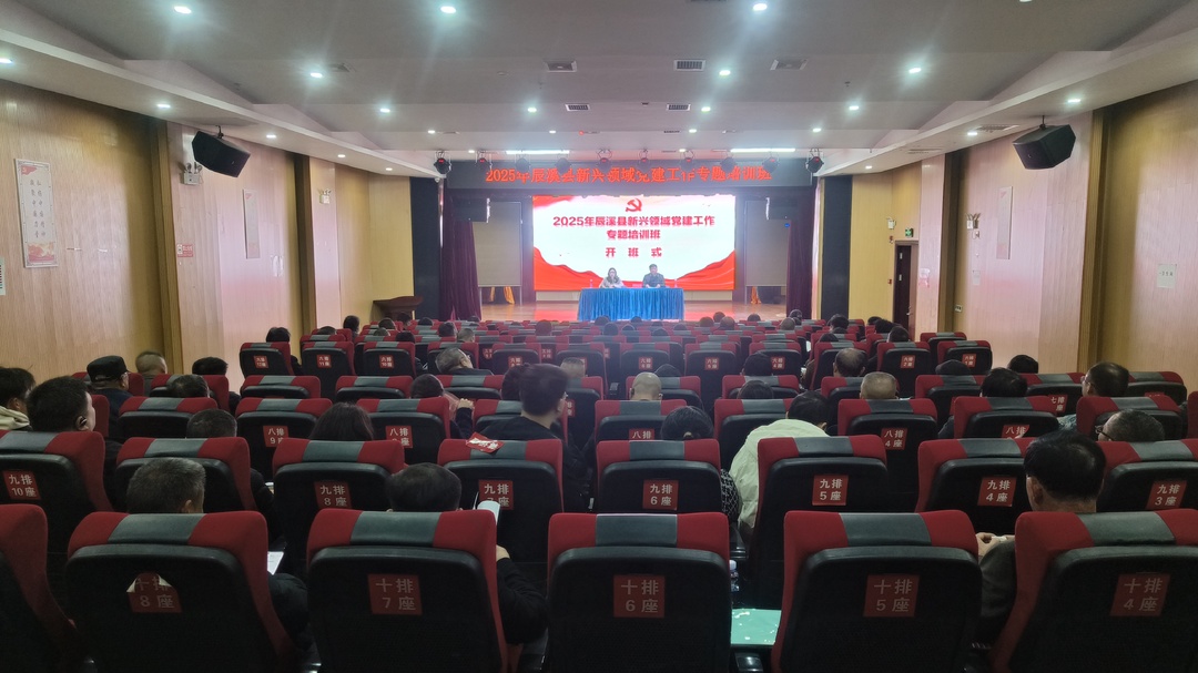 辰溪县举办2025年新兴领域党建工作专题培训班