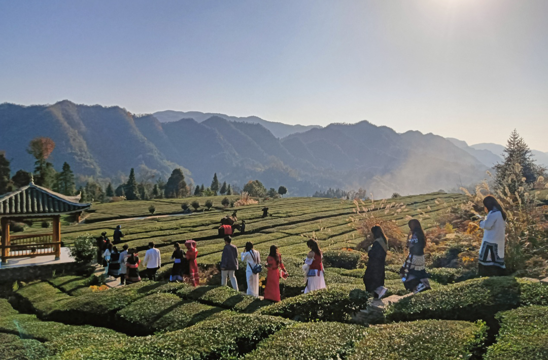 吉首大学民族预科教育学院开展非遗传承调研