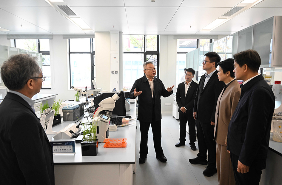 沈晓明调研“人工智能+生物育种”工作