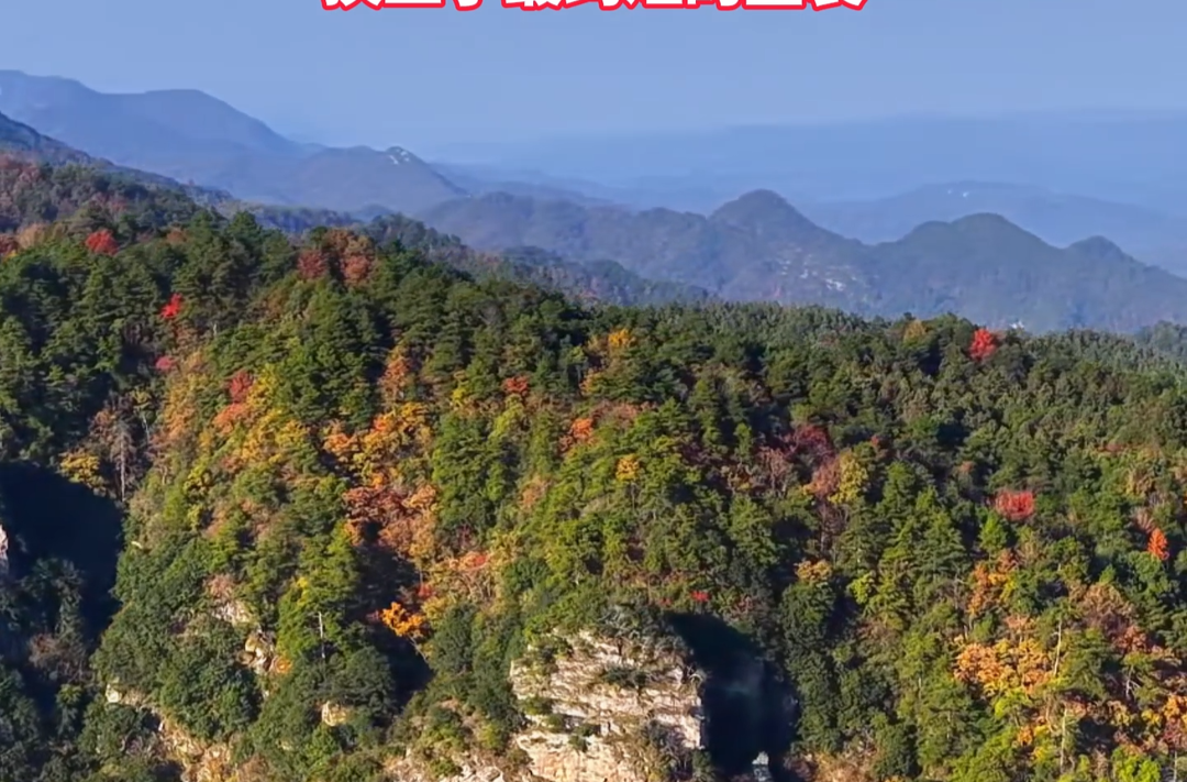 福地怀化·风物季 | 层林尽染 会同鹰嘴界国家级自然保护区换上绚烂盛装