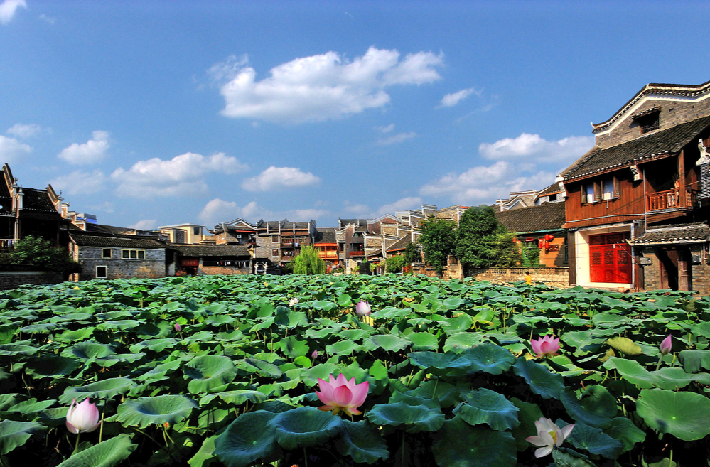 吉首市政协文史资料数字化开启保护传承新篇章