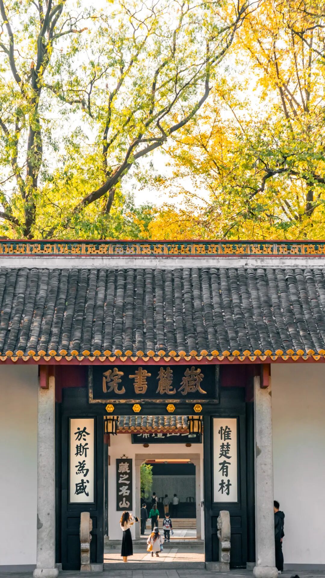 任克威·邂逅星城｜于湖大深秋，于湘江夜色