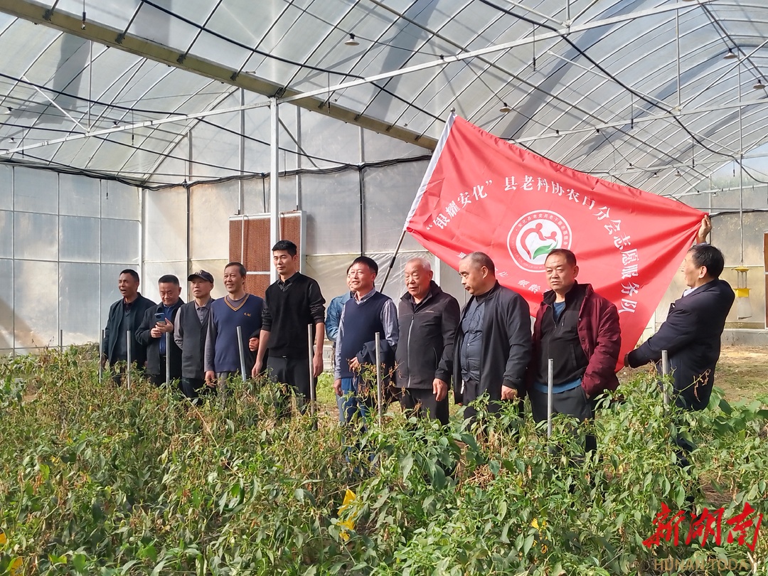 安化县：银发智囊问发展，田间车间解难题
