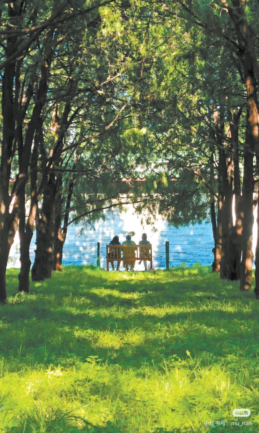 年轻人为何热衷在京城“访古寻迹”