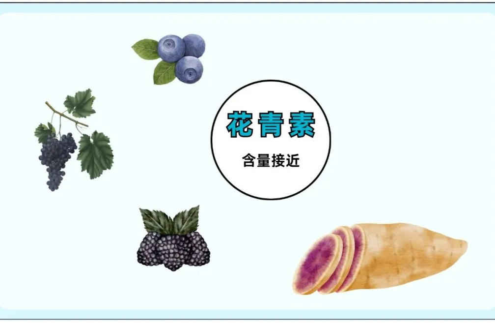 2 块钱的红薯，真不如 4 块的紫薯吗？