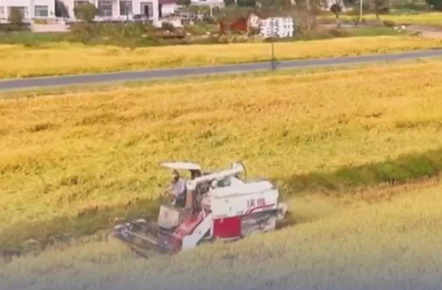 长沙“十四五”经济总量与质量双突破，人均地区生产总值达14.45万元丨非凡“十四五”