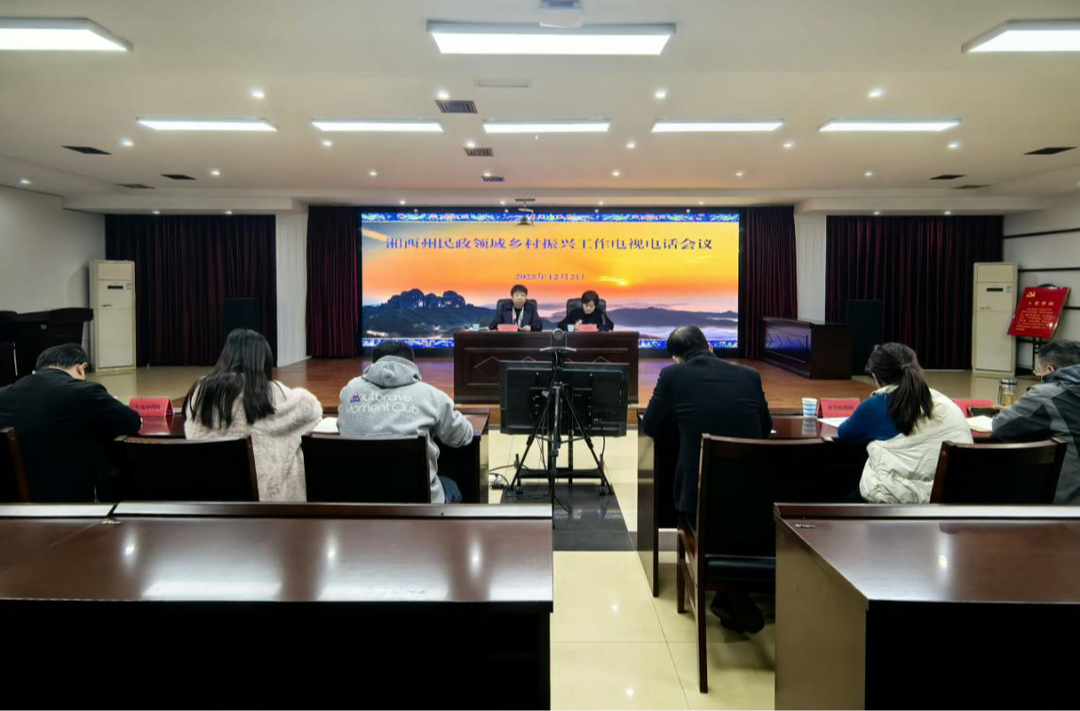 湘西州召开民政领域乡村振兴工作电视电话会议