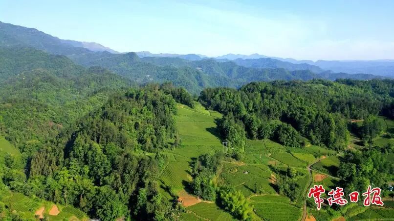 常德“双县双企”获得国家级荣誉