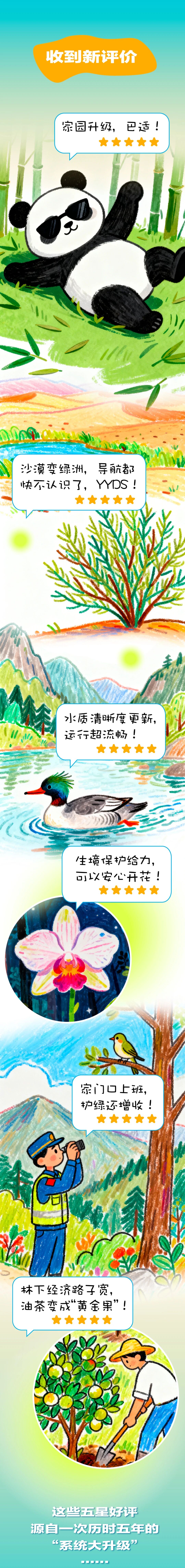 创意长图 | “十四五” 林草 “系统升级” 已完毕，请查看报告