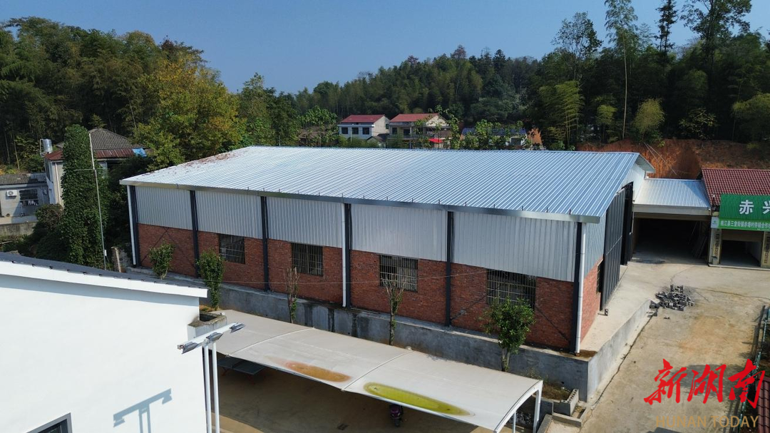 秸秆变电能、竹子创产值：看桃江县的“绿水青山”高分转化秘籍