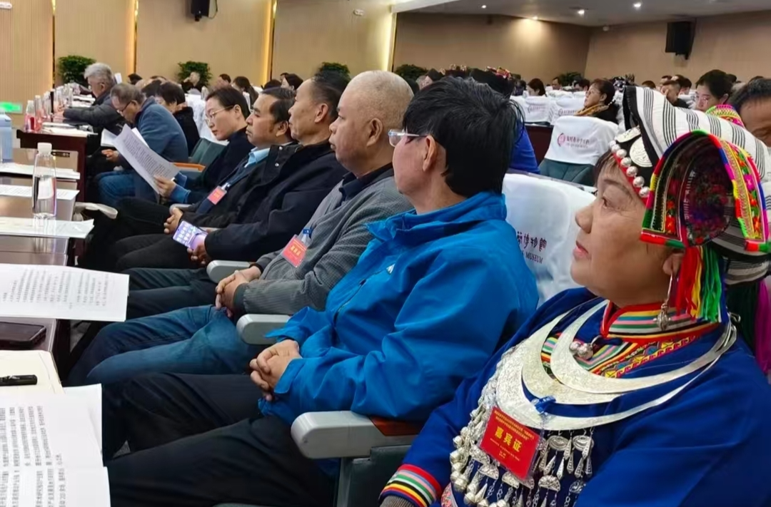 湖南省苗学学会2025年学术研讨会在龙山举行