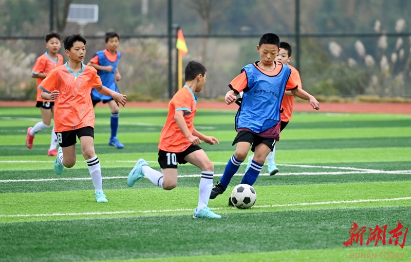 绿茵场上放飞梦想