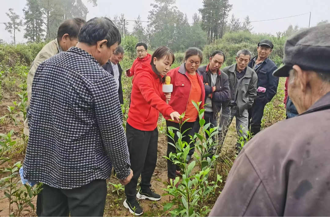 凝心铸魂强根基 立职建功显担当