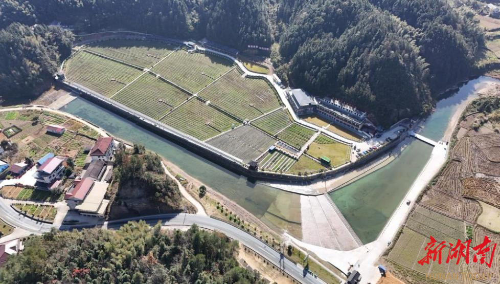 乡村振兴动力何来？看安化县茅园村“绿橙蓝”三色融合破题