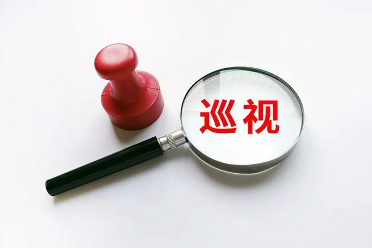 二十届中央巡视省（自治区、直辖市）完成反馈