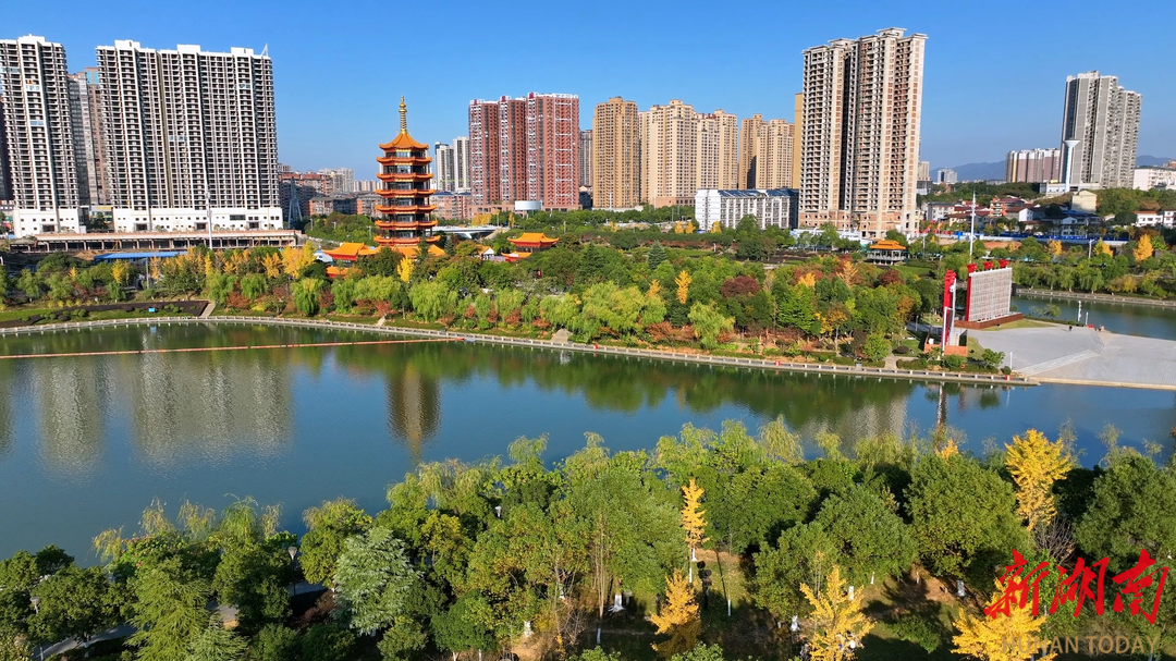 【大美鹤城】鹤鸣洲：水岸光影交错  满目初冬斑斓