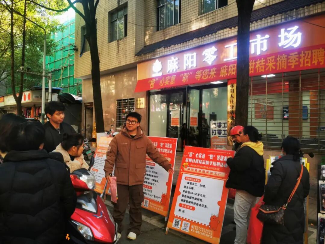 柑橘飘香 麻阳人社举办柑桔采摘季招聘系列活动