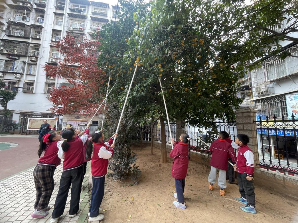 株洲市芦淞区何家坳小学：“ao仔”庆丰收，劳动课堂“止咳良饮”飘香
