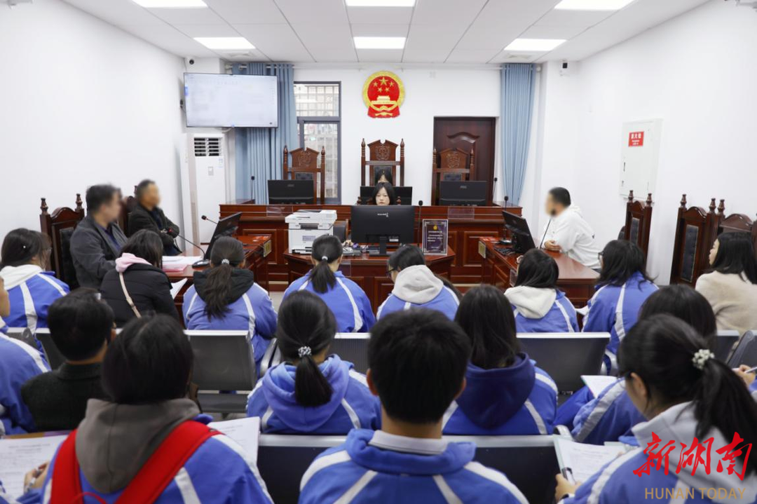 雨湖区法院开展国家宪法日宣传活动