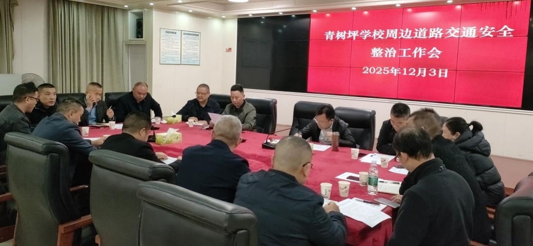 双峰县青树坪镇全面排查整改隐患   筑牢校园周边交通安全防线