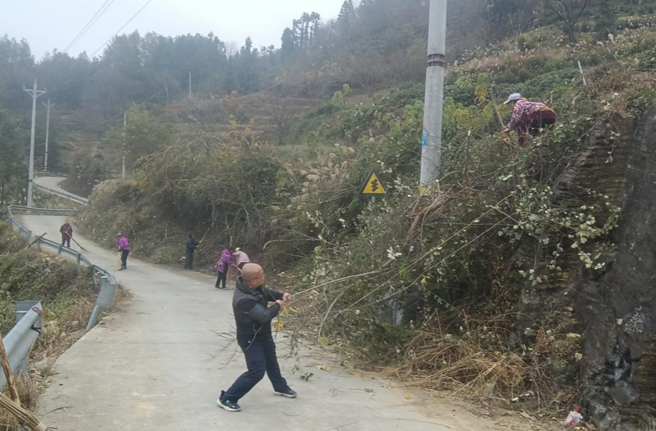 吉首市己略乡联林村50余名干群义务砍青除障