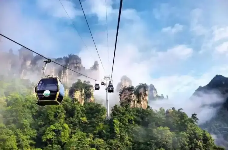 掌上张家界｜关于天子山索道进行年度检修的公告