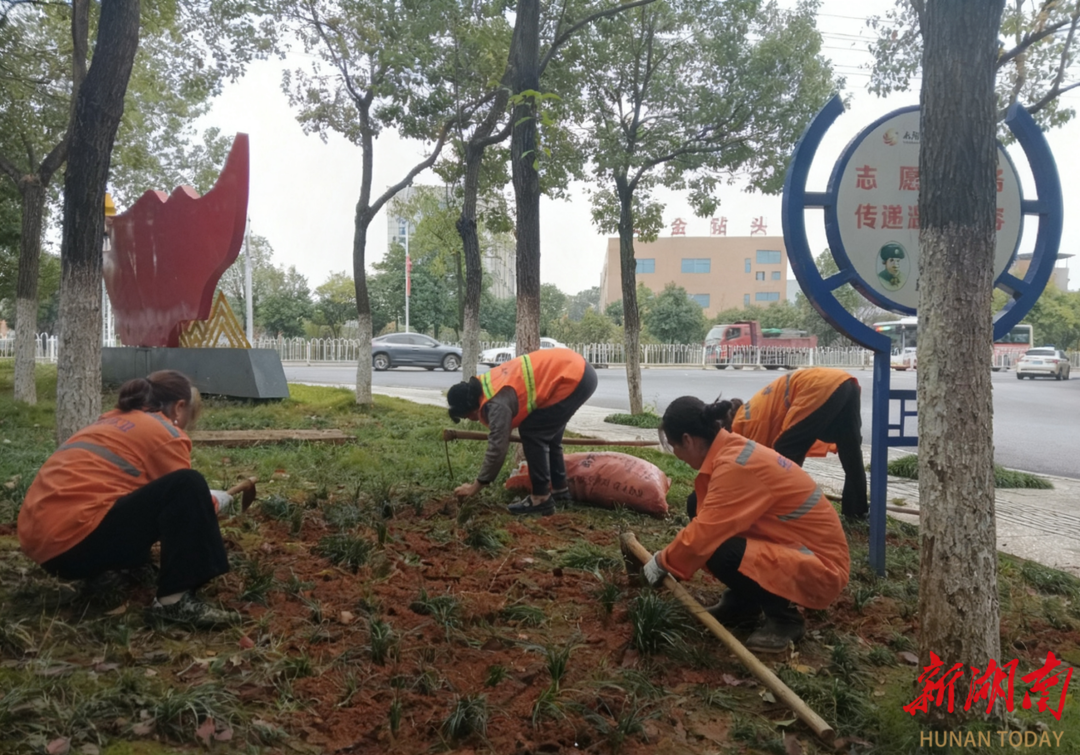 冷水滩区环卫和园林中心精心打造飞腾路市容示范路样板