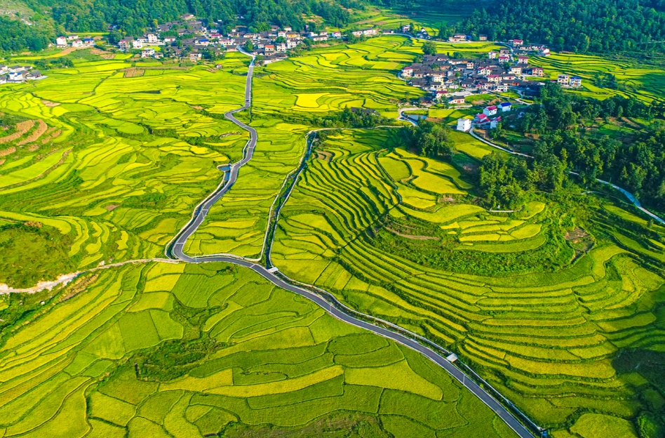 湘西州做好便民服务“大文章”@湖南日报