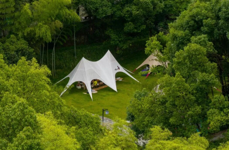 常来常德 常“游”所得㊻丨收藏！这份“桃花源冬日推荐玩法”出炉，出发~