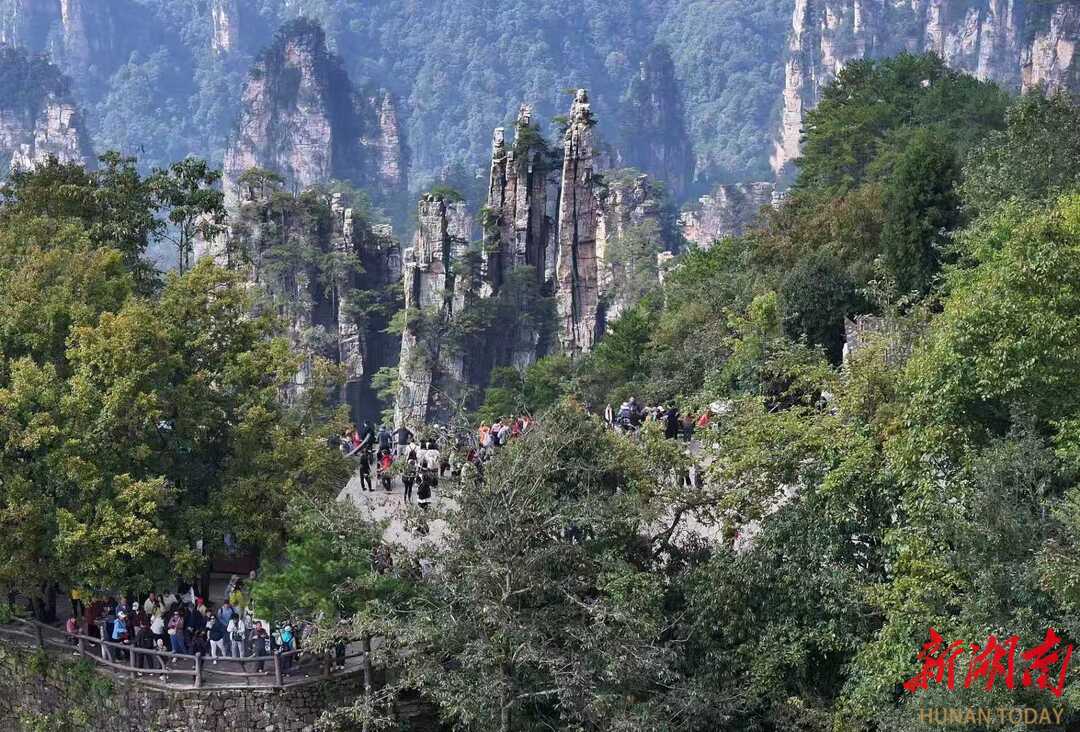 一卡游一年 张家界国家森林公园推出 399元“畅游年卡”