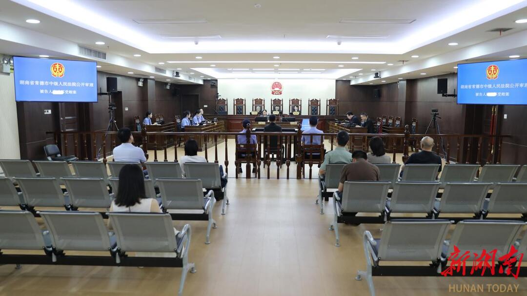 常德法院：严惩刑事犯罪  为高质量发展保驾护航