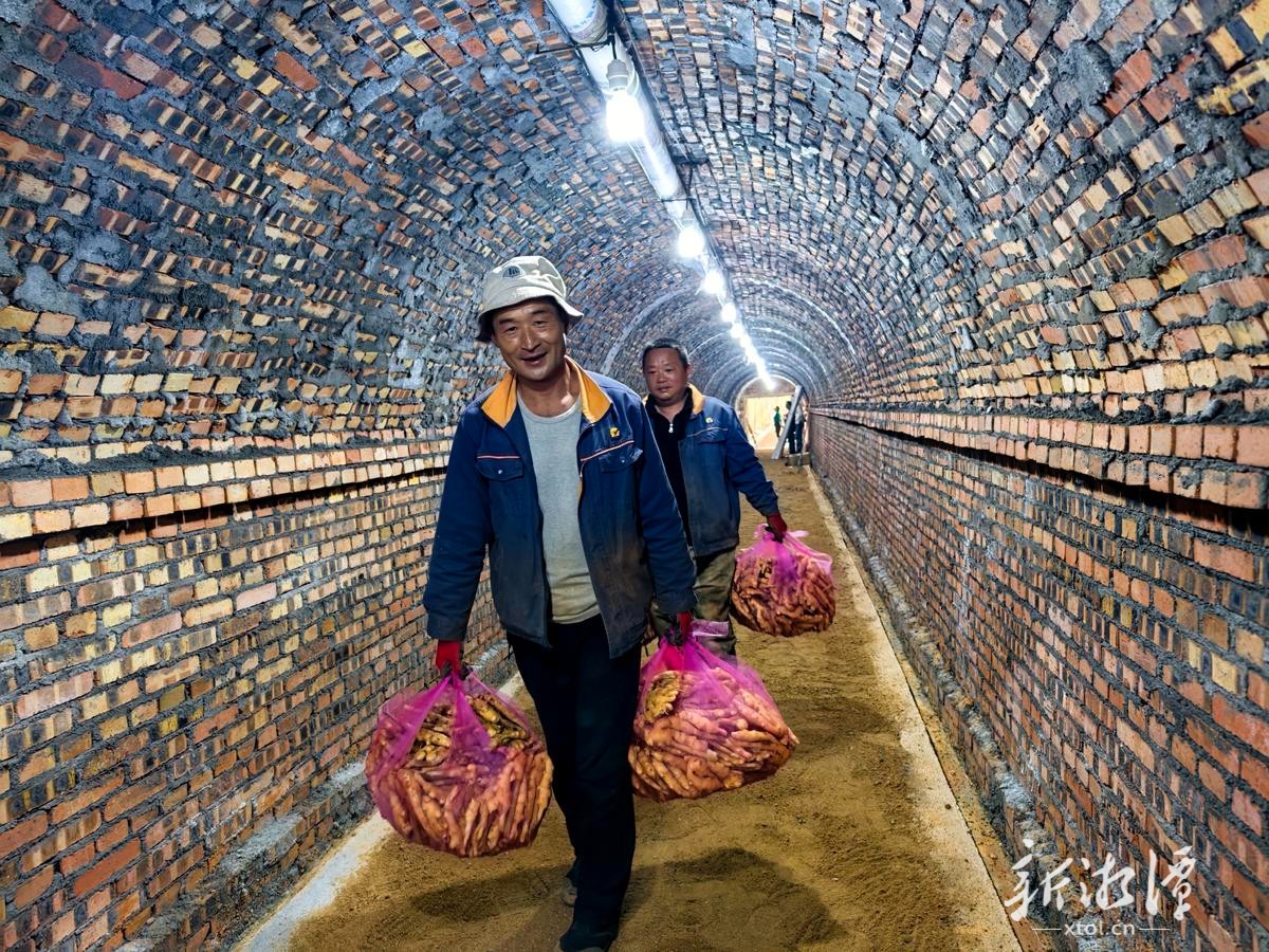 湘江畔的“姜山”传奇——湘潭县石潭镇中山村生姜基地助农增收纪实