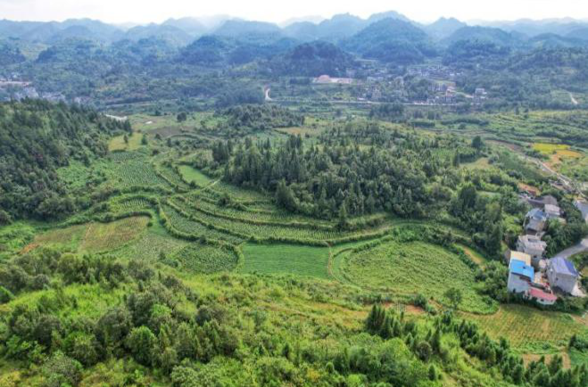 深耕特色兴产业 融合发展绘新篇——凤凰县吉信镇2025年产业发展综述