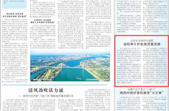 业务全流程规范提质 益阳审计护航高质量发展|湖南日报