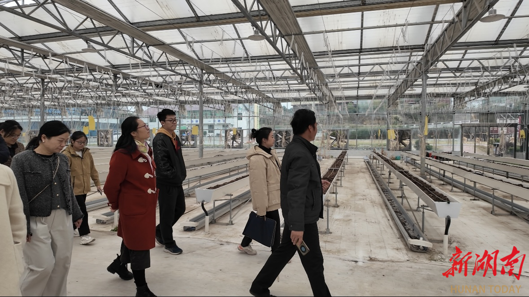 娄星区公务员能力素质提升班开展现场教学