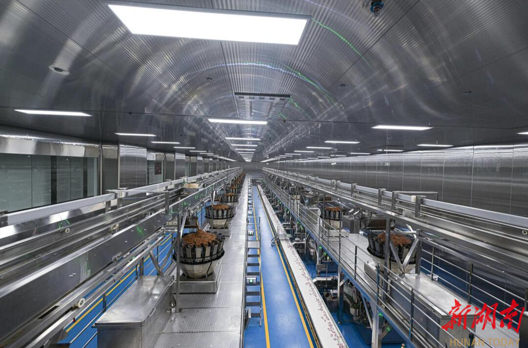 劲仔健康休闲食品智能工厂获评“先进级智能工厂”引领休闲食品行业智造转型