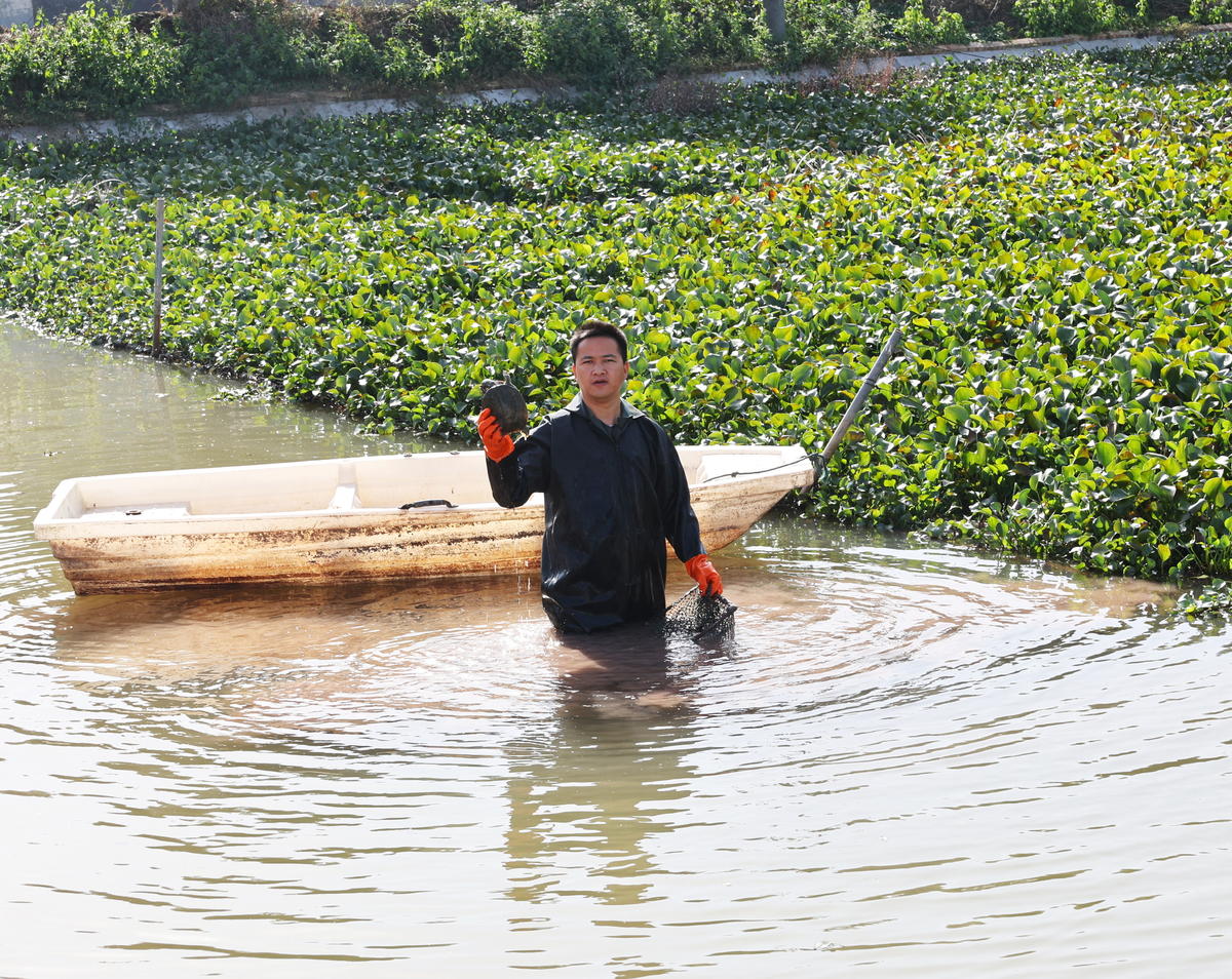 吃在湘潭丨“南苹甲鱼”：湘潭餐桌上的“硬菜”新篇