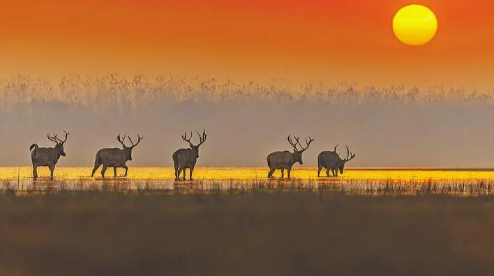  回归了！已扩散至27个省份