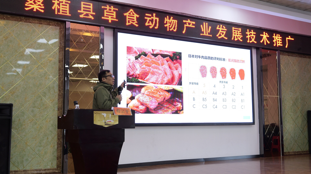 桑植县举办草食动物产业技术培训，夯实乡村振兴产业根基