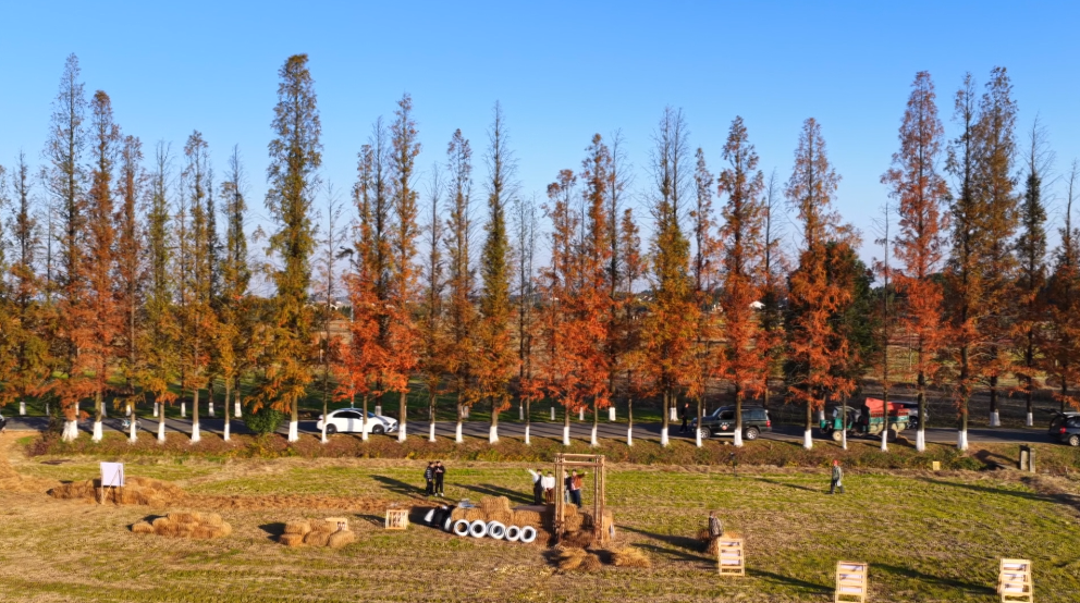 汉寿聂家桥乡：秸秆变身“艺术品” 冬闲田野添风景