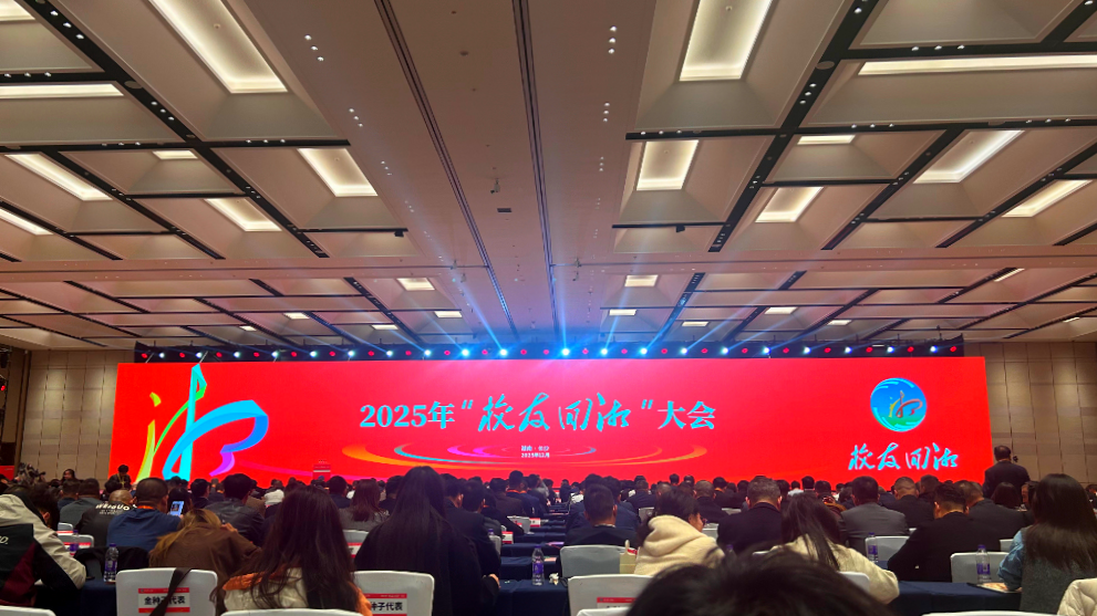 辛小湘丨回“湘”，“才”有为