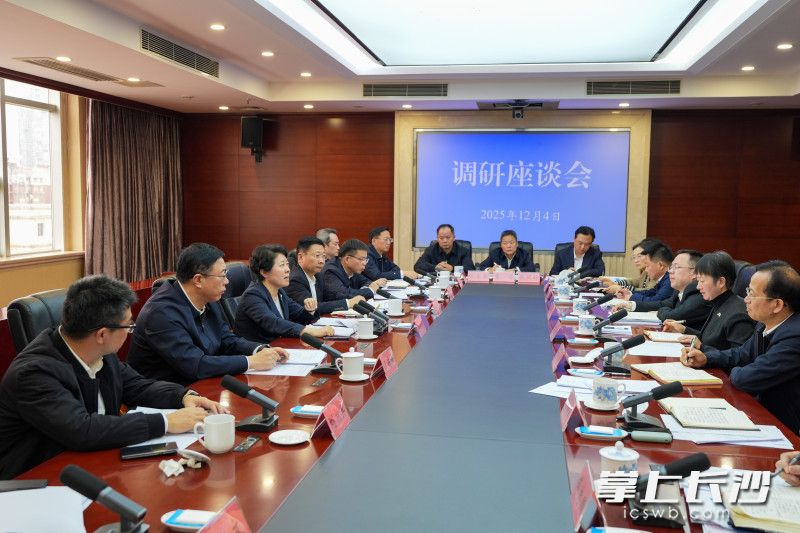 吴桂英在开福区宣讲党的二十届四中全会、省委十二届九次全会精神并开展调研