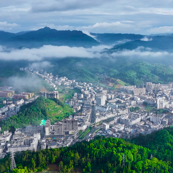 县乡人大看郴州⑤|从“黄桃卖空”到“民宿客满”——桂东人大代表联络站“嵌入”产业链一线观察