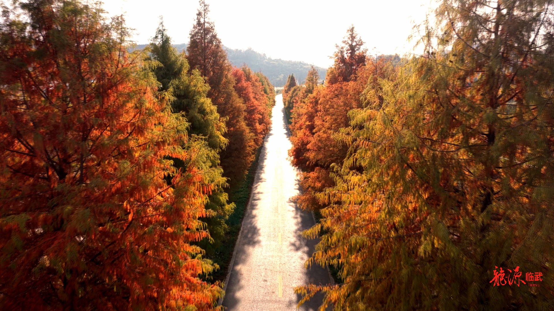 【新湖南】冬日限定！临武县汾市旅游公路又“红”啦！