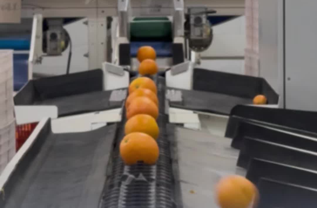 新征程，新样范｜月汉村徐小龙：全村收入破亿，绘就乡村振兴新图景